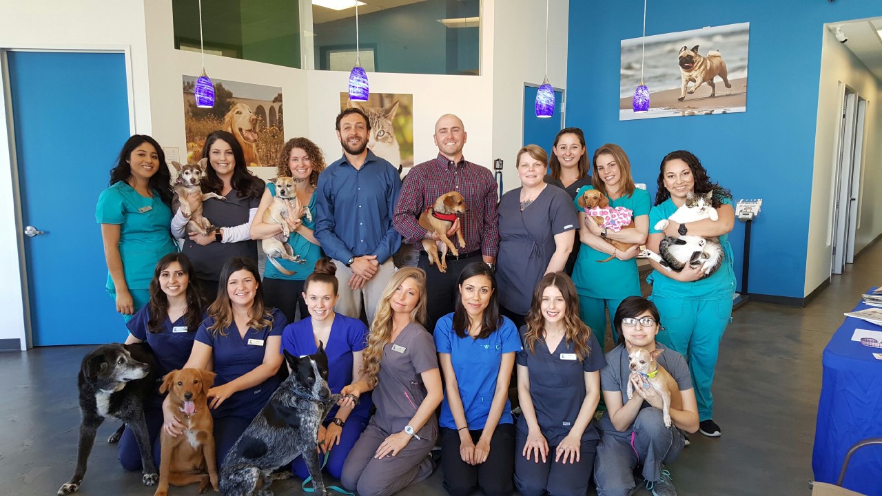 San Diego Bay Animal Hospital Reviews San Diego, CA Angie's List